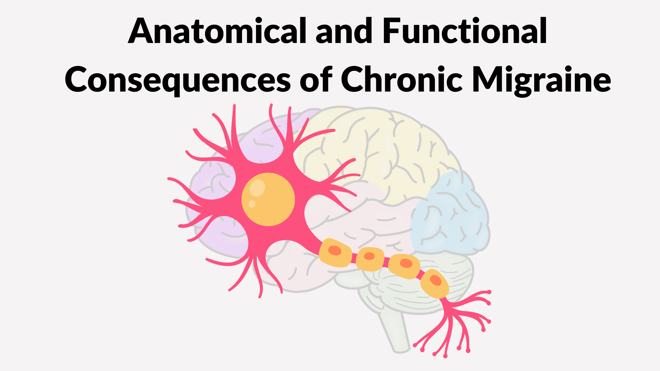Anatomical and Functional Consequences of Chronic Migraine