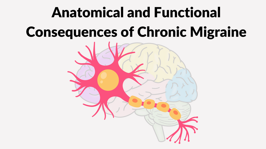 Anatomical and Functional Consequences of Chronic Migraine