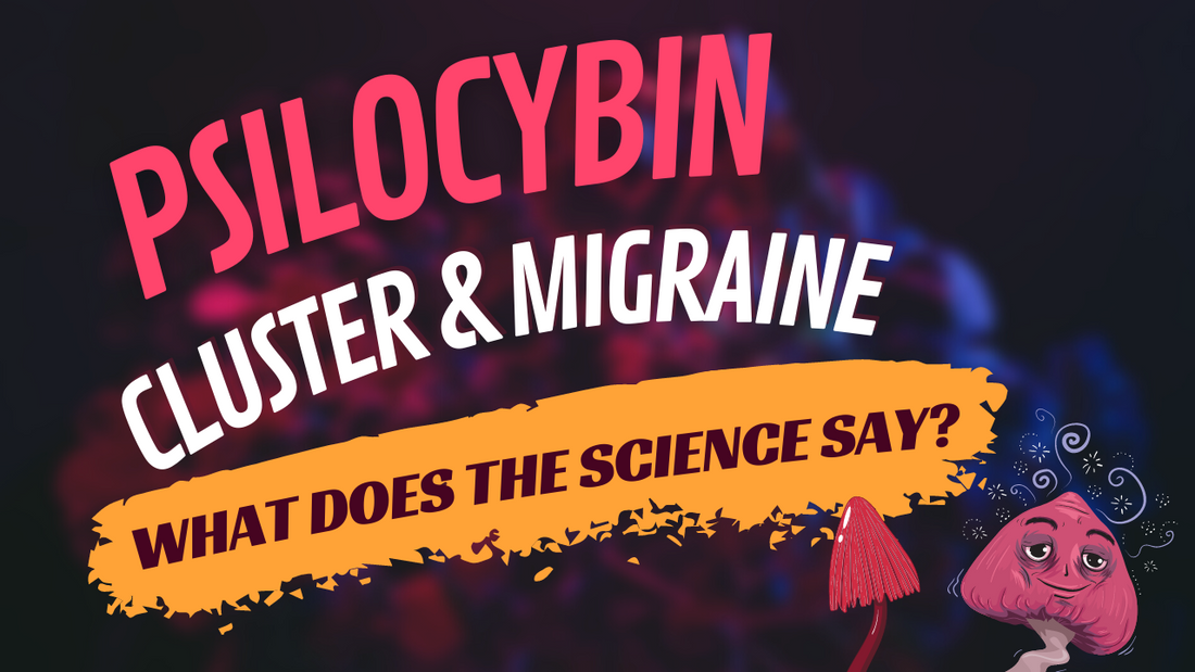 Psilocybin: What Does The Science Say?