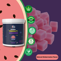 Cerebral Tranquility - Sleep Support Gummies